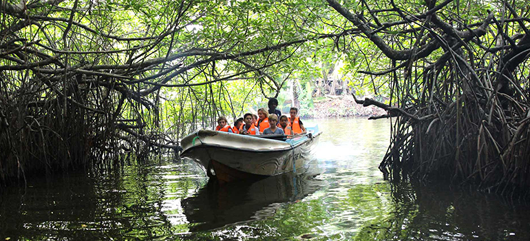 Madu River Boat Safari