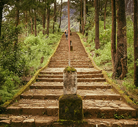 Adam's Peak in Hatton