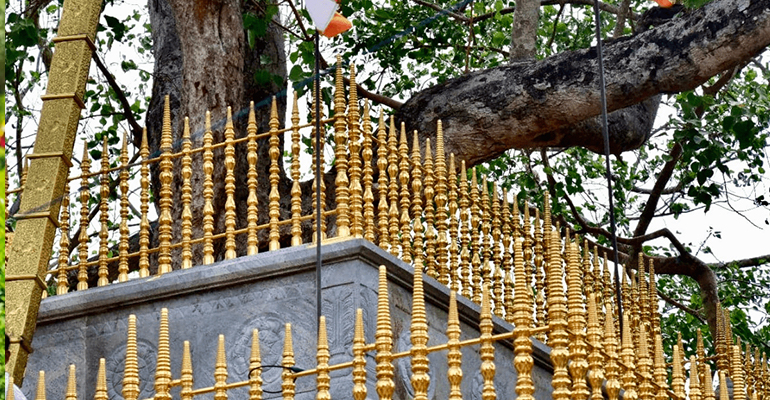 Anuradhapura Ancient City