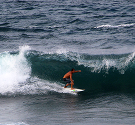 Snorkeling in Hikkaduwa
