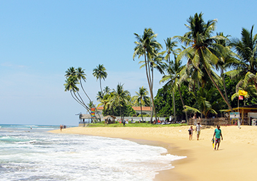 Surfing in Hikkaduwa