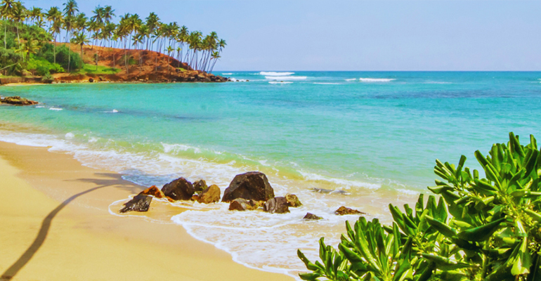 Mirissa Beach