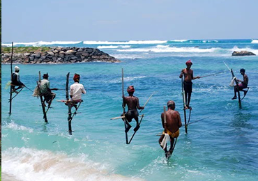 Snorkeling at Unawatuna
